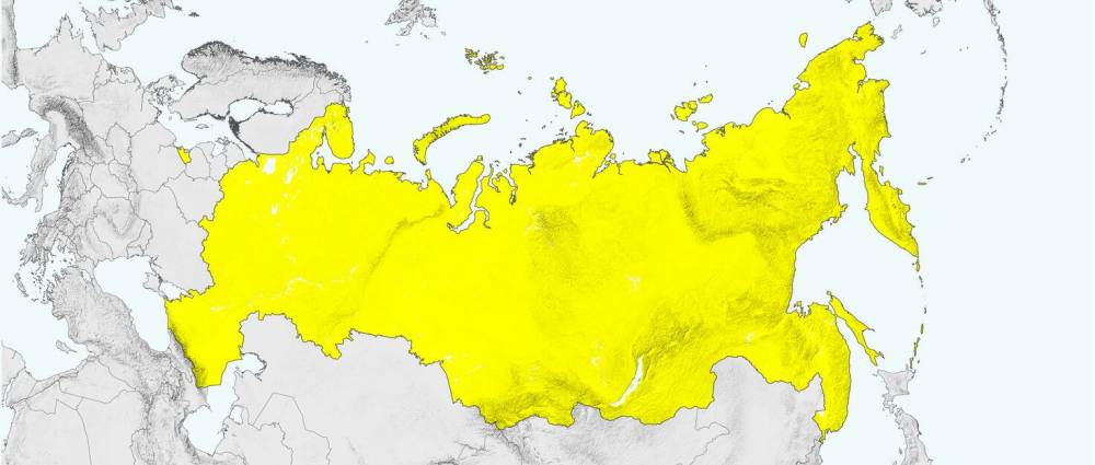 Amnistia internacional Russian Federation