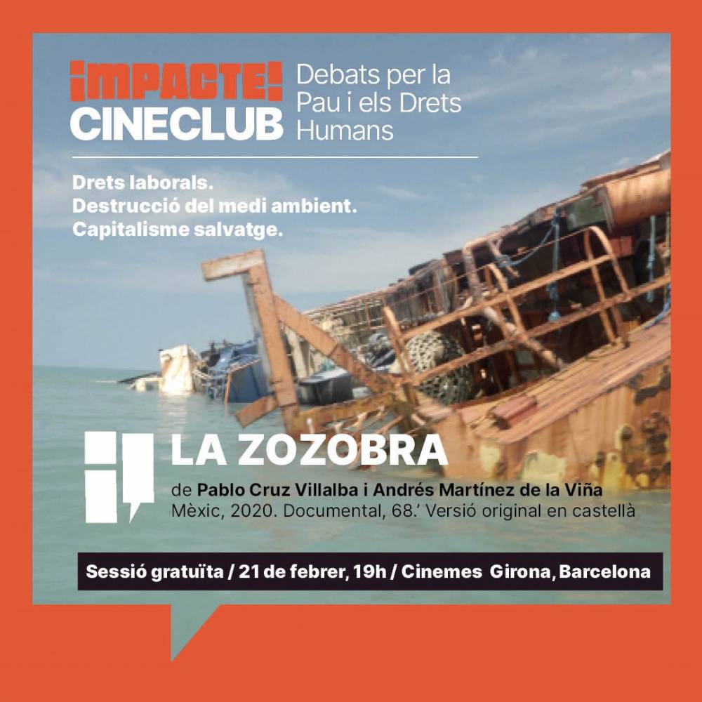 Amnistia internacional impacte cineclub debats per la pau i els drets humans