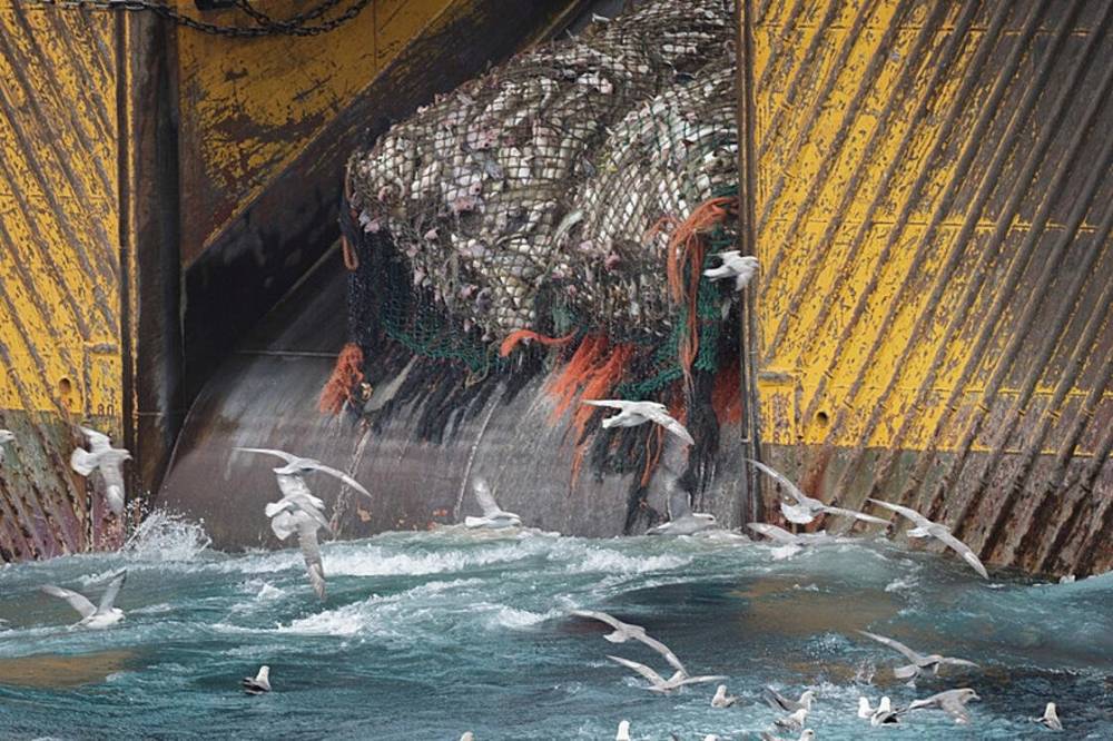 Greenpeace el parlamento europeo cerrar la pesca de arrastre