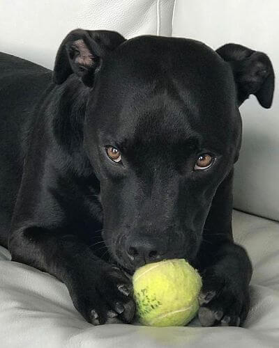 Natalia y Ares 119887553 359159838606420 1201370784022247288 n 2 opt