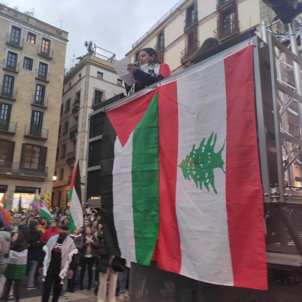 Palestina 30112024 representante libanesa durante su discurso1733002967911 1001 k