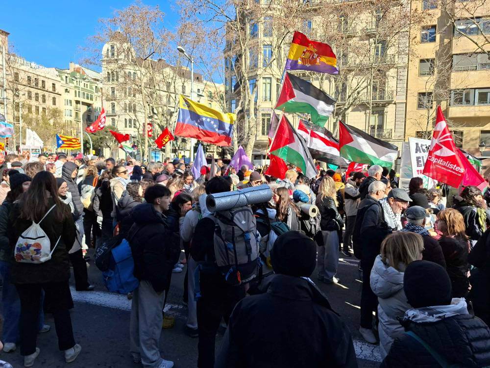 Palestina 31012026 manifestacin lateral 20260131 123415