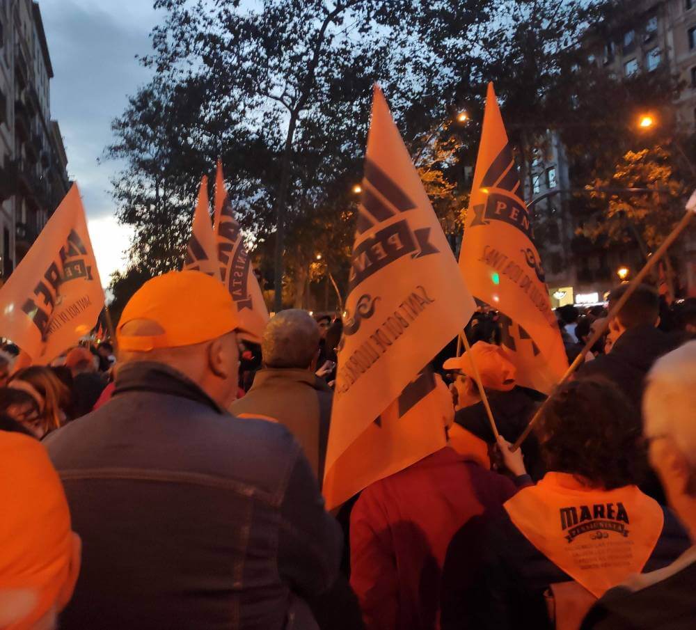 Sindicat de llogateres 23 novembre 2024 manifestacio membres de marea pensionista a la manifestacio 1732758602807 971 k 962 k recto 985