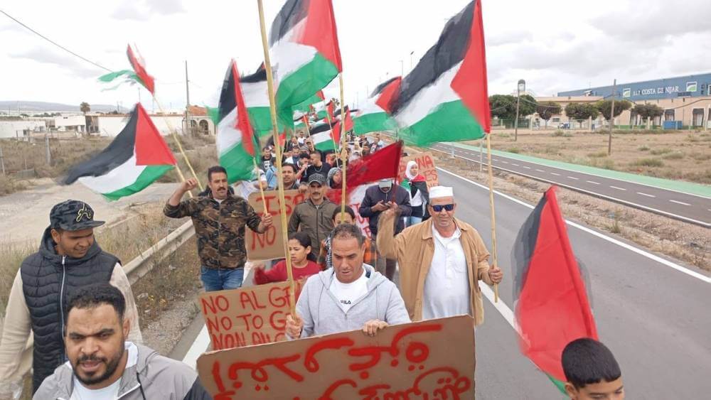 World Socialist Web Site trabajadores del campo de almeria a favor de Palestina