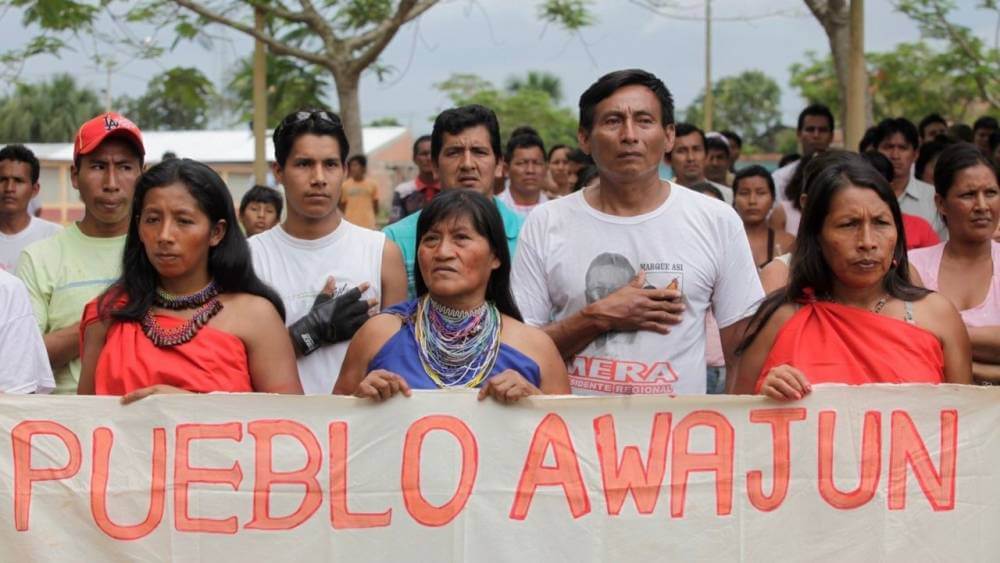 World socialist web site 38 indigenas amazonicos asesinados en peru entre 2013 y 2024