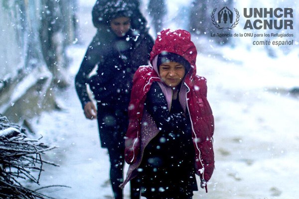 acnur en la frontera entre Bielorusia y Polonia el frio puede ser letal