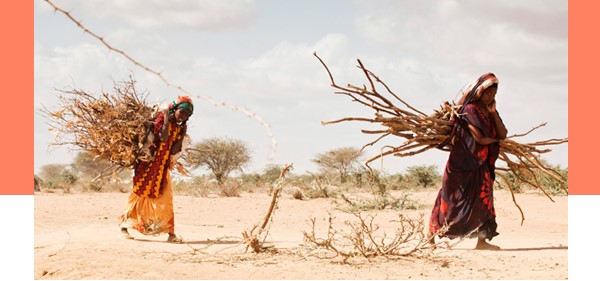 acnur recogida de firmas por los desplazados climaticos