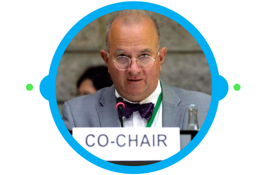 avaaz basilie van havre