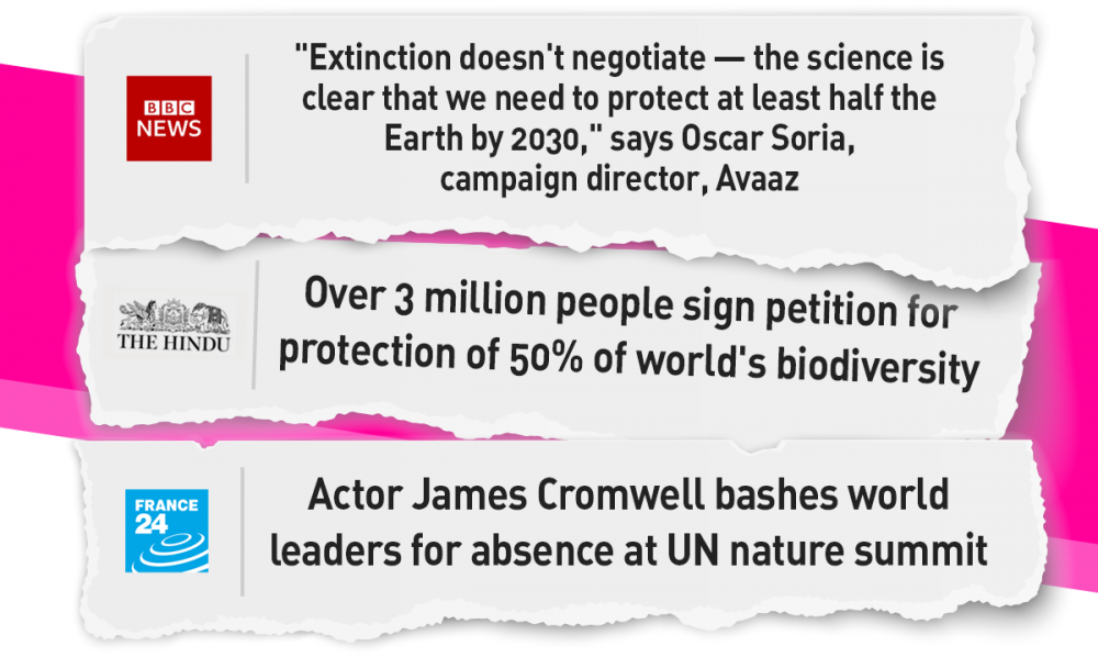 avaaz la extincion no es negociable