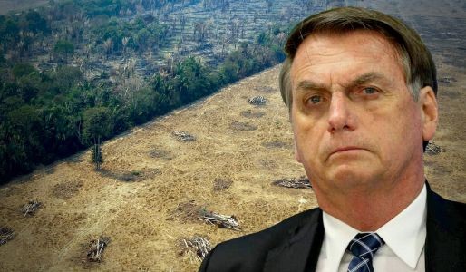 avaaz presidente jail bolsonaro