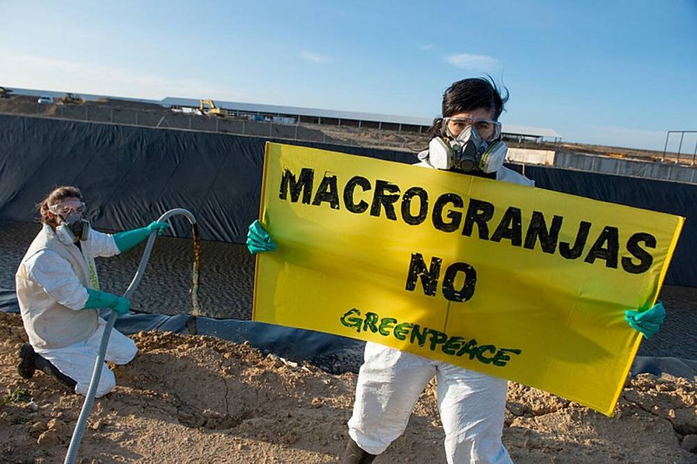 greenpeace activistas en navarra son acusados de injurias y calumnias por la empresa Valle de Odiet4a