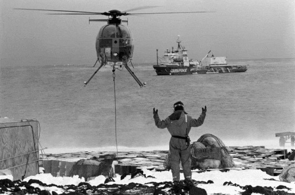 greenpeace cumple 50 aos