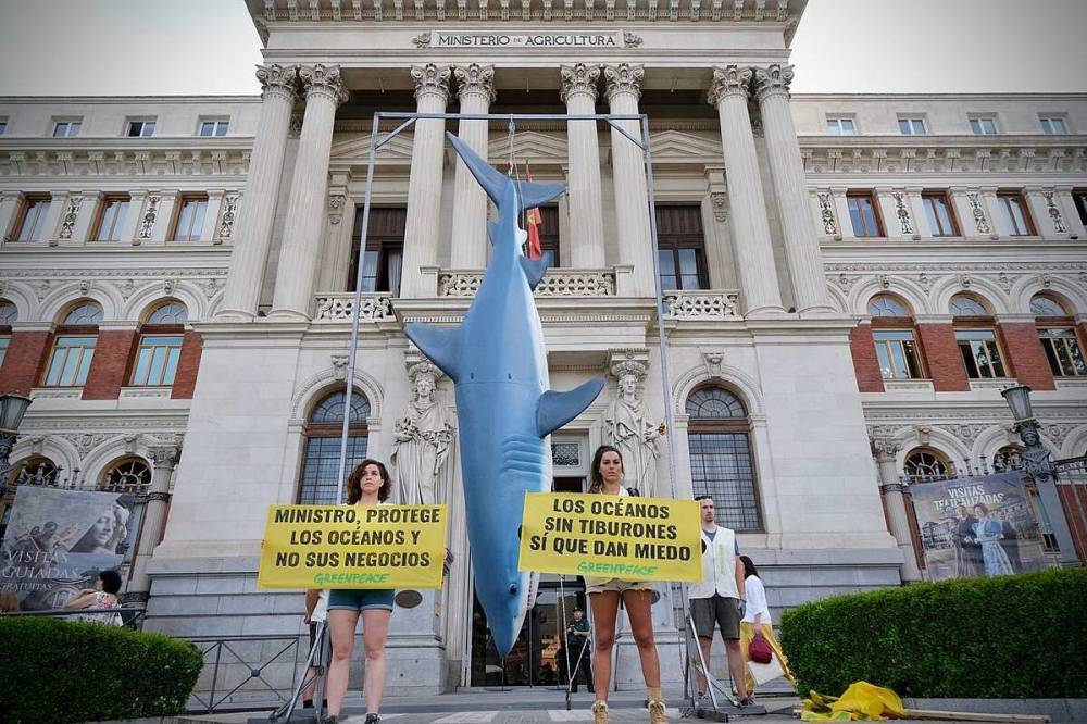 greenpeace proteger los oceanos 30 por ciento