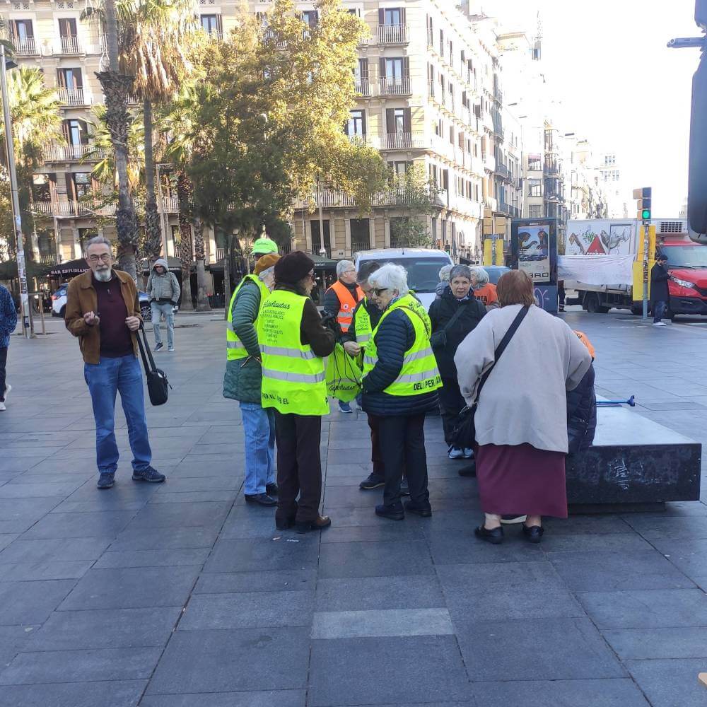 marea pensionista 24112025 iaoflautes 1764050614576