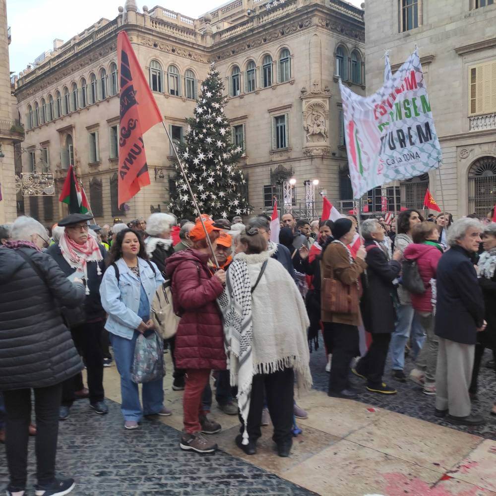 palestina 30112024 marea pensionista de catalunya en la concentracion y posterior man1733052587644 996 k