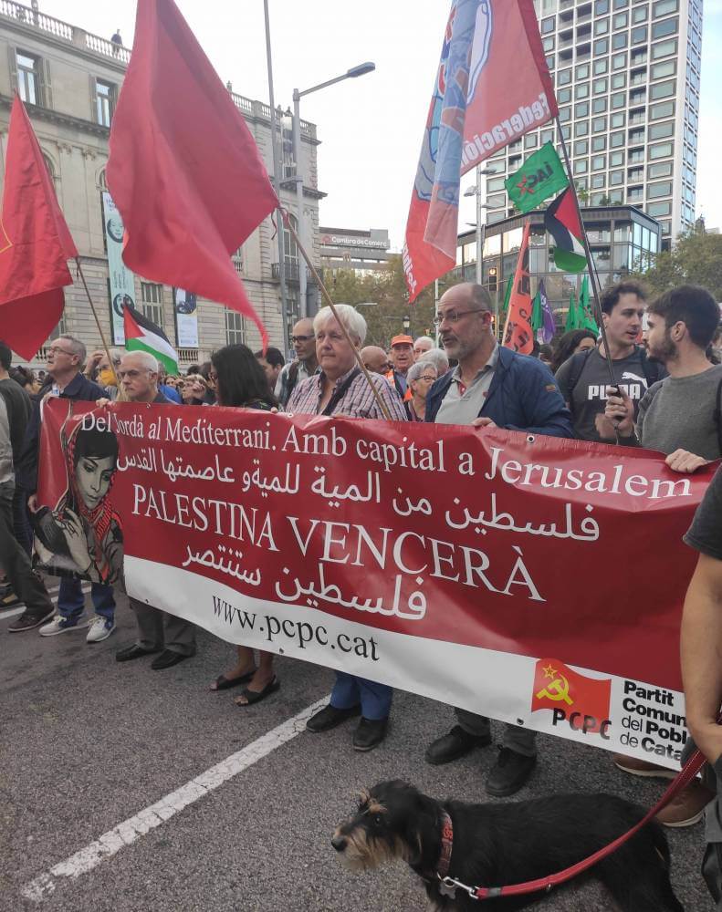 palestina LIBRE PCPC IMG 20231021 1819372897 DISMINUIT A 966 K