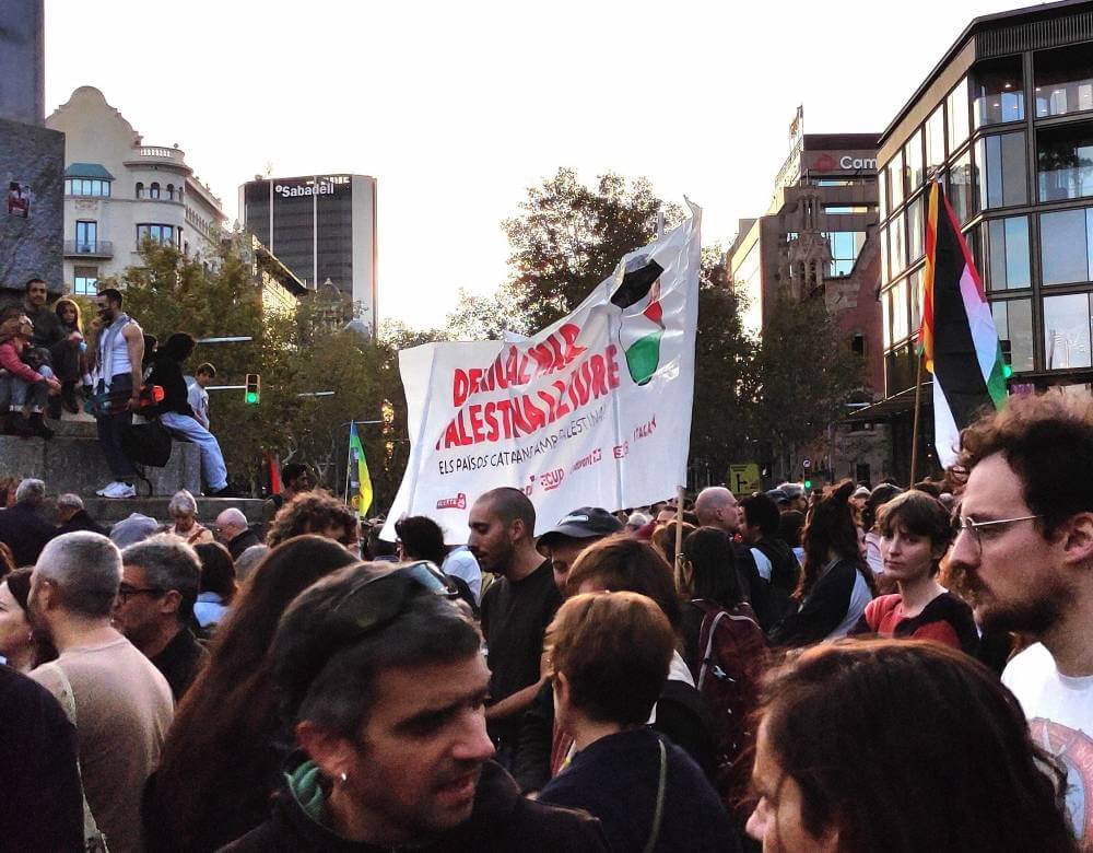 palestina libre IMG 20231021 1843542976 cup dismi 900 k