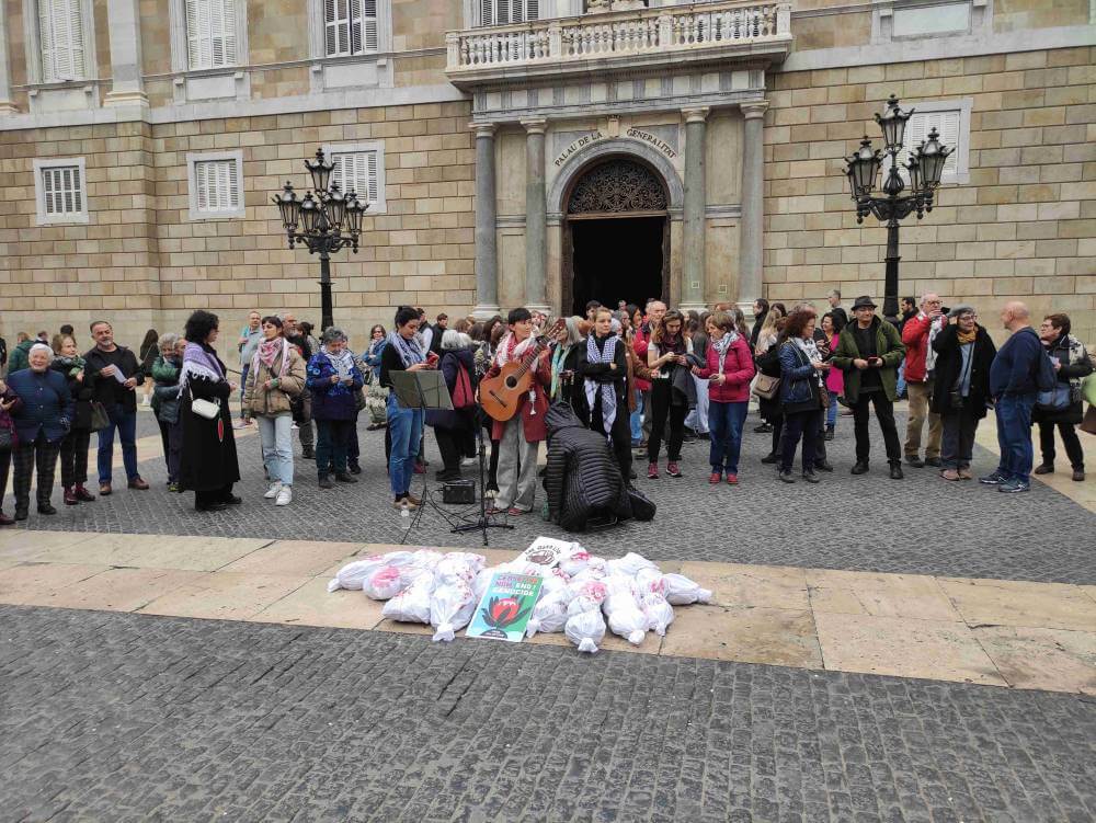 palestina vaga de fam 16022024 foto principal del acto en la plaza sant jaume 1708090325215 disminuido a 1011 k