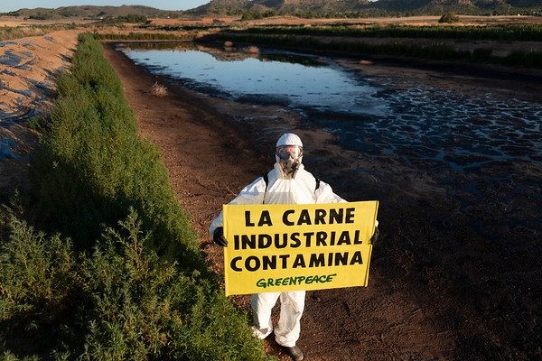 GREENPEACE LA CARNE INDUSTRIAL CONTAMINA