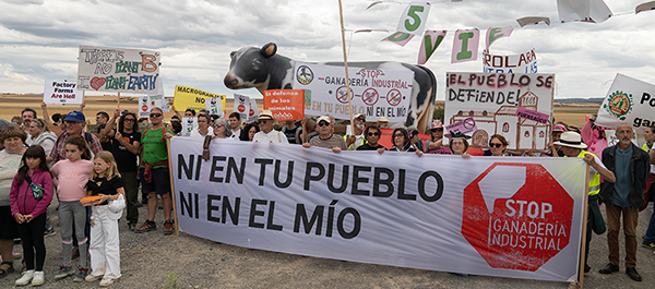 Greenpeace la macrogranja de Novierca no se construye