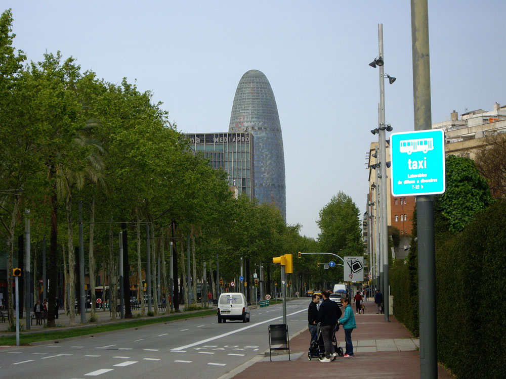 IMGP2894