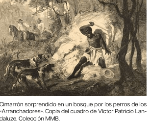 LA INFAMIA 5 LA INDECENCIA