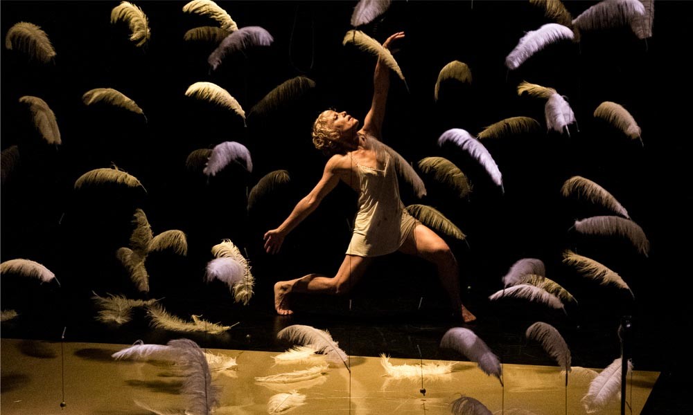 Sala Beckett malditas plumas 