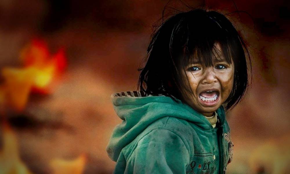 avaaz 8 aos es el tiempo para recuperarnos de las emisiones de co2