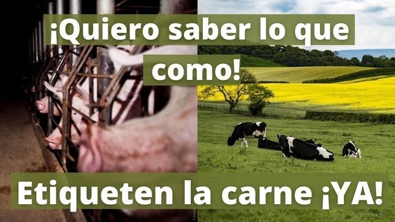 change org etiquetado carne