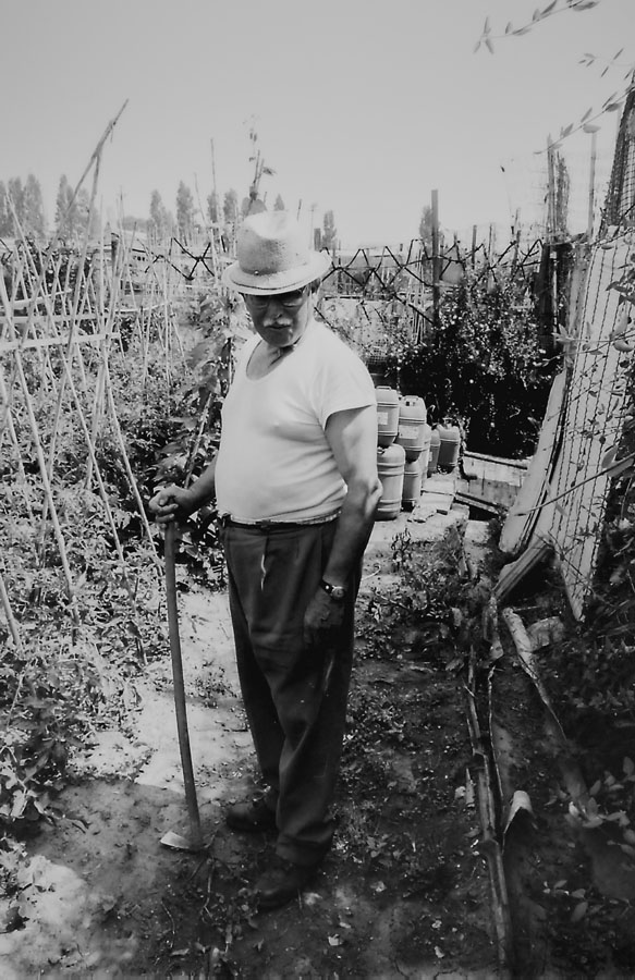 papa en el huerto 18