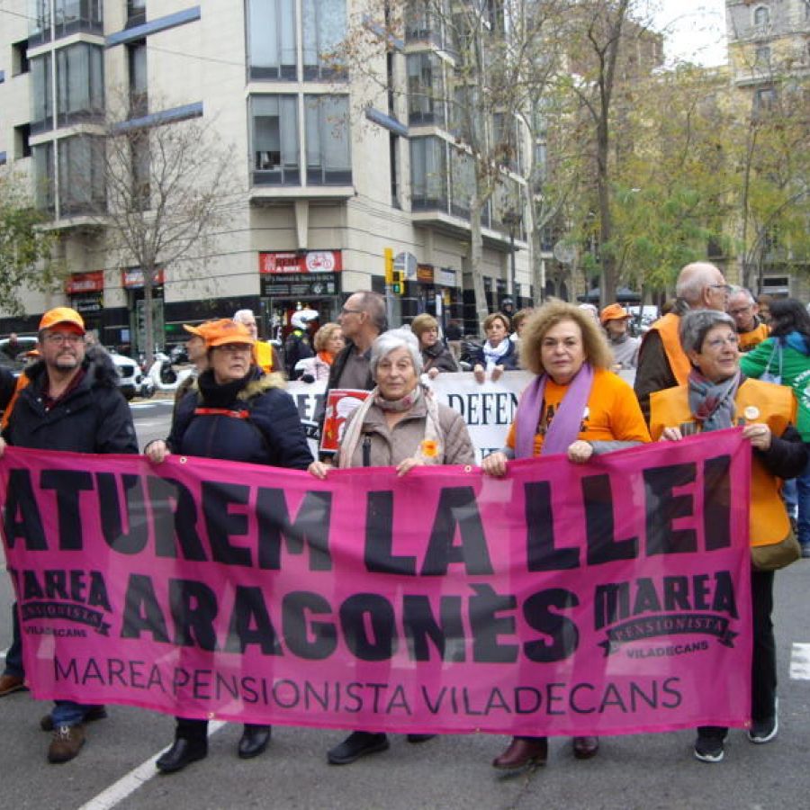 marea-pensionista-10